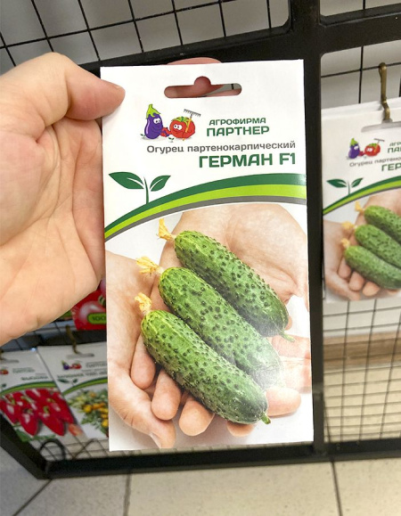 Огурец партенокарпический Герман F1